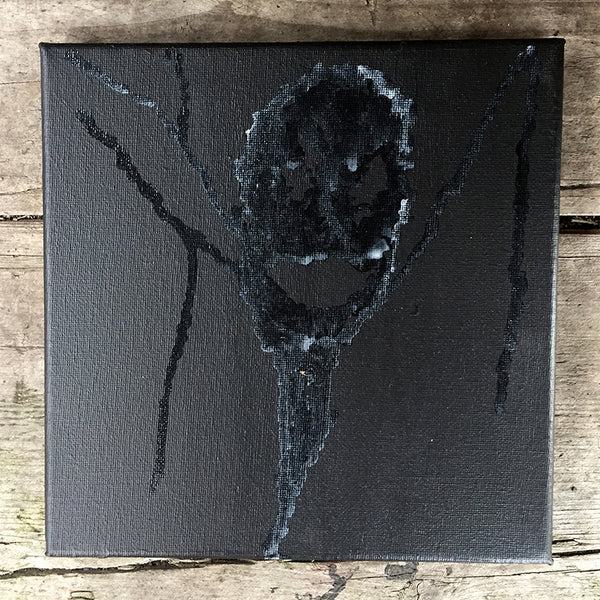 Swept And Garnished II DAVID TIBET